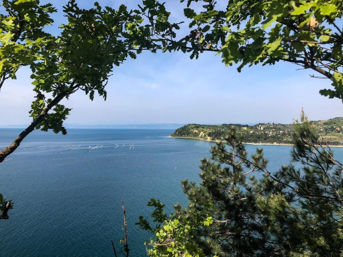 Apartment Vrenjak Порторож Екстериор снимка